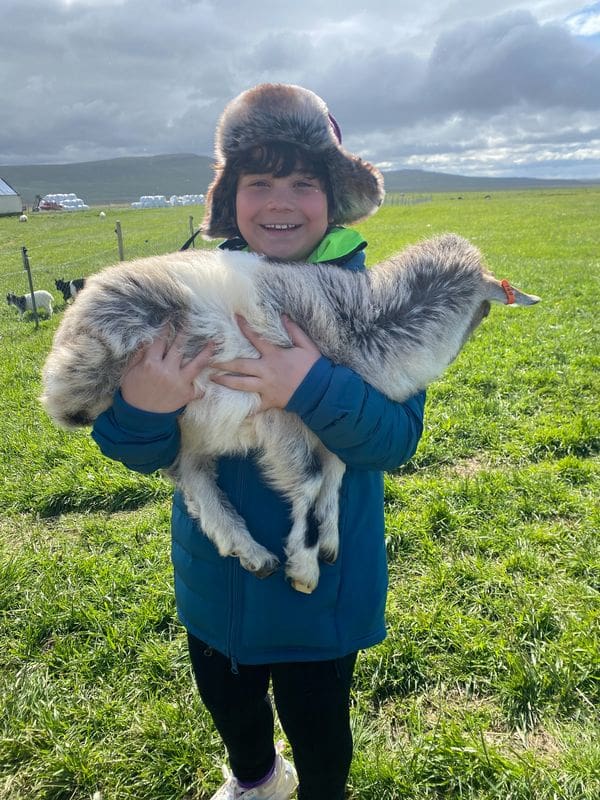 A young boy holds a baby goat at a farm in Iceland.