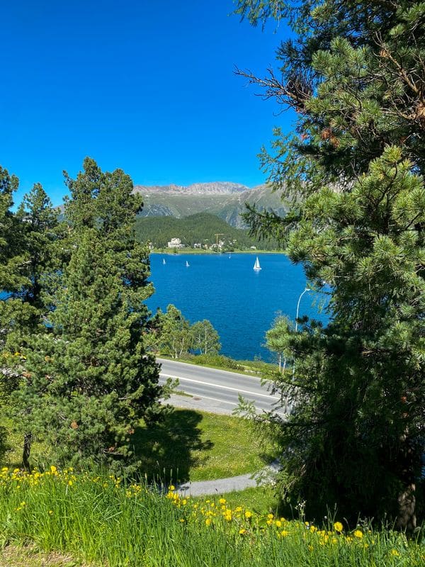 Through the trees, the lake in St. Moritz, Switzerland can be seen with a sail boat atop the waters.