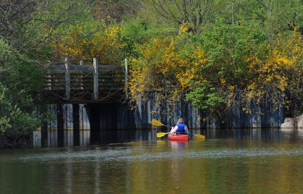 A tandem kayak holding two people paddles through the Huron River near Ann Arbor.