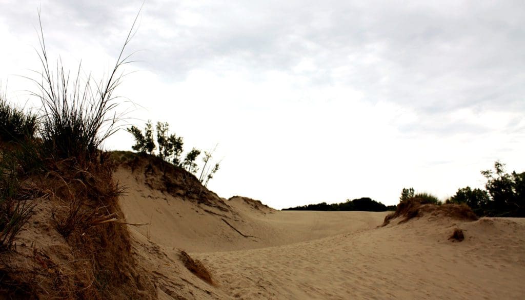 Sand dunes rise into the sky at Warren Dunes State Park, one of the best places in Michigan to visit with kids.