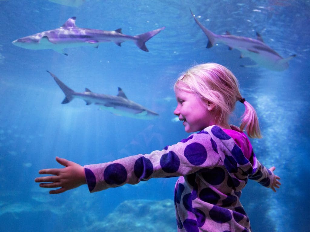 A young girl holds out her arms, measuring up against the sharks in an aquarium tank at SEA LIFE Aquarium Michigan, one of the best places in Michigan to visit with kids.